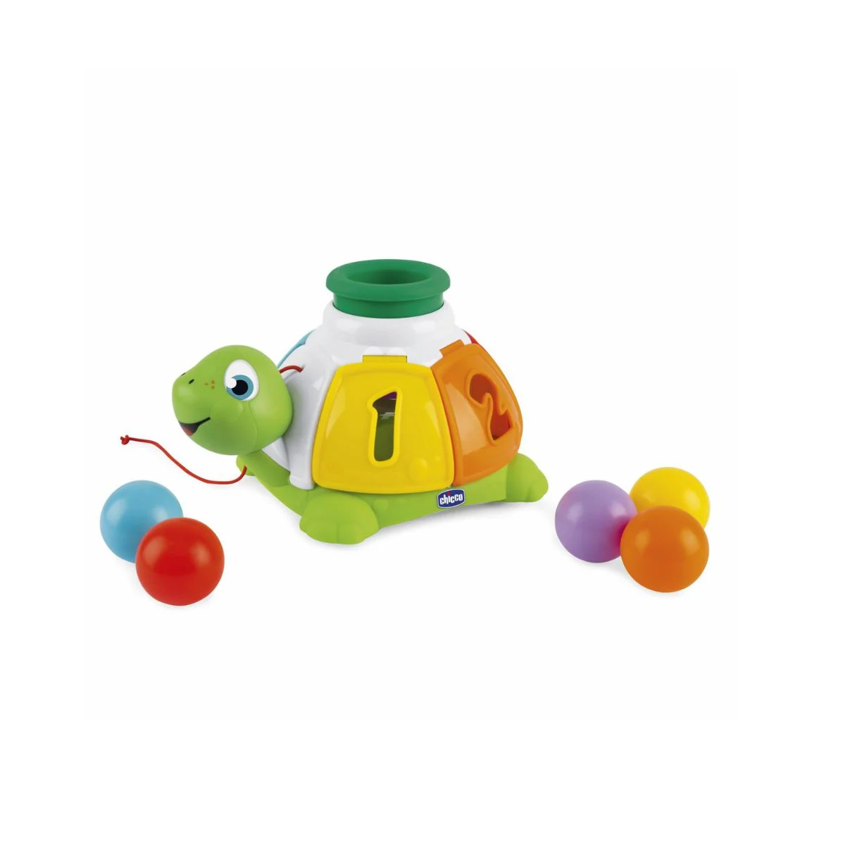 Tortuga Sorpresas